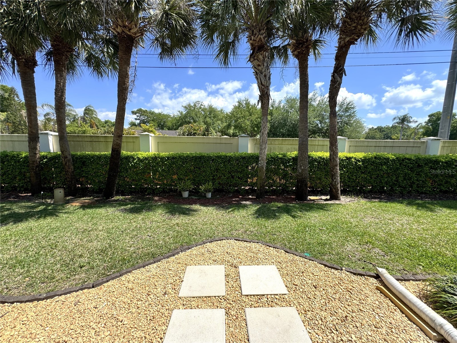 3471 Fox Hunt Drive Palm Harbor FL 34683 TB8483330 image42