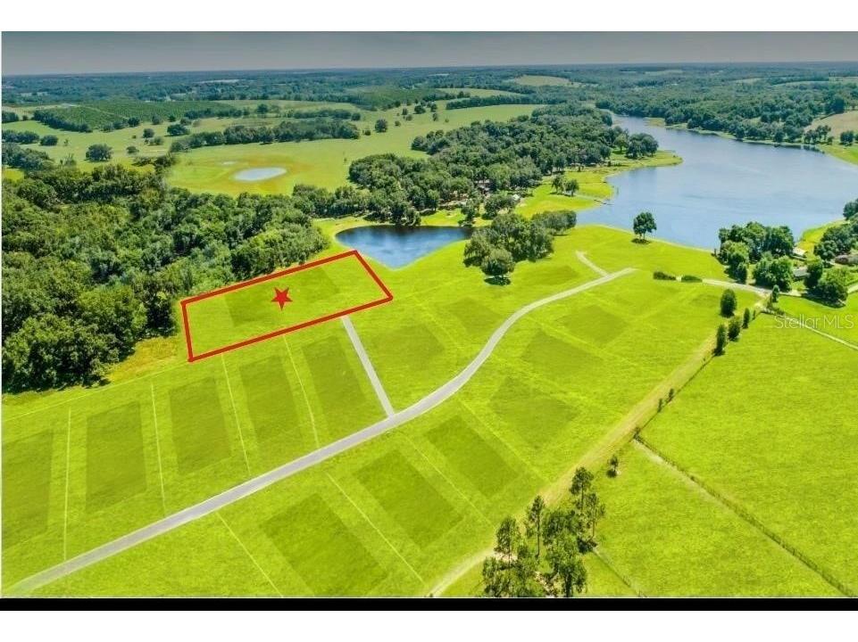 34710 Clayton Road #14 Dade City FL 33523 O6406056 image1