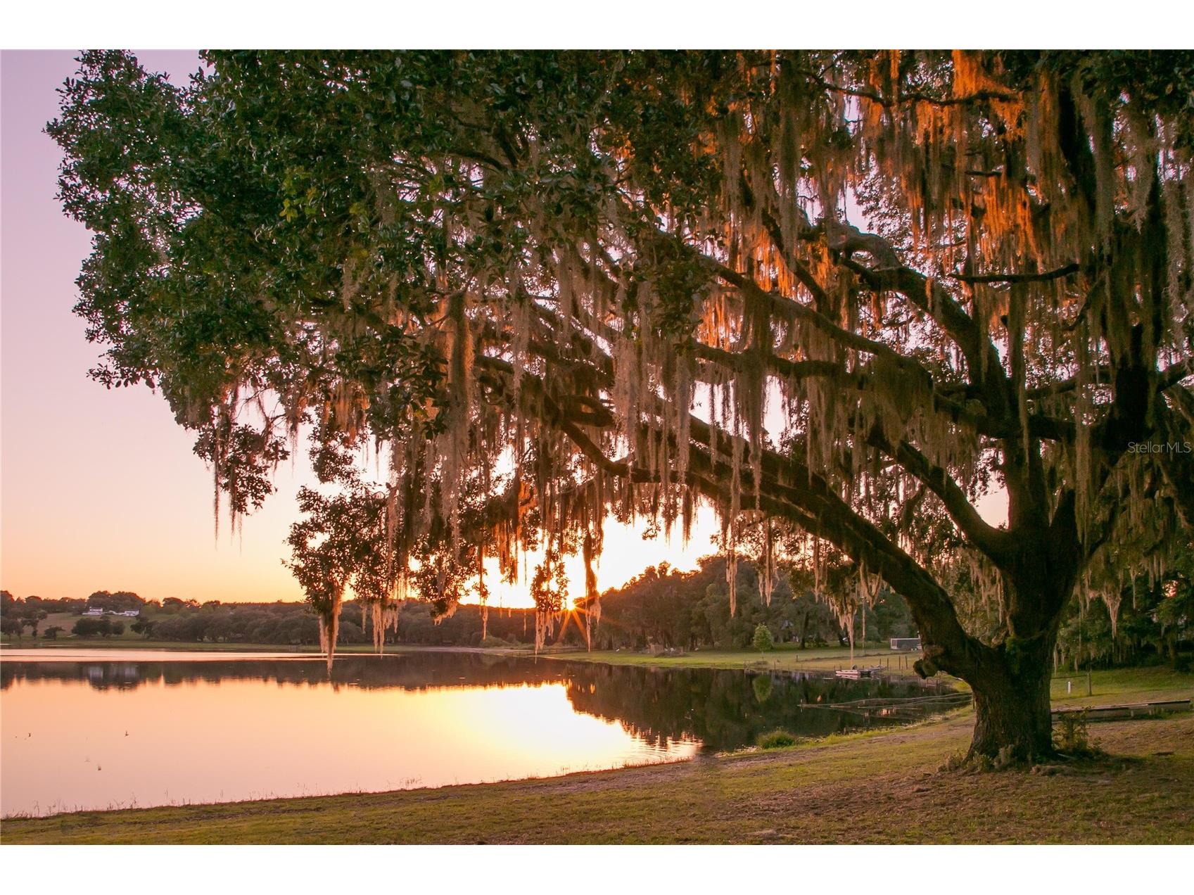 34710 Clayton Road Dade City FL 33523 O6382530 image18