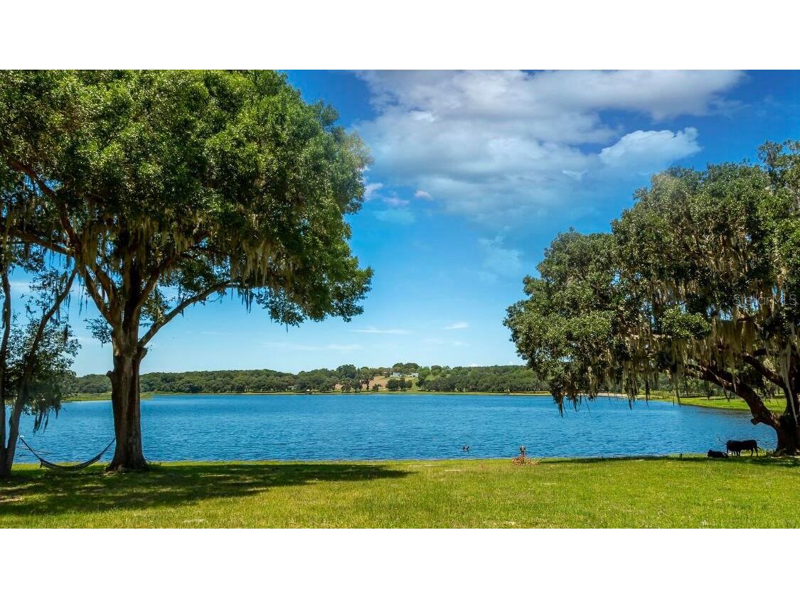 34710 Clayton Road Dade City FL 33523 O6382530 image3