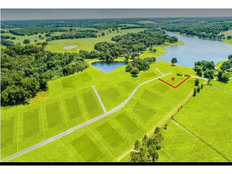 34710 Clayton Road Dade City FL 33523 O6406142 image1