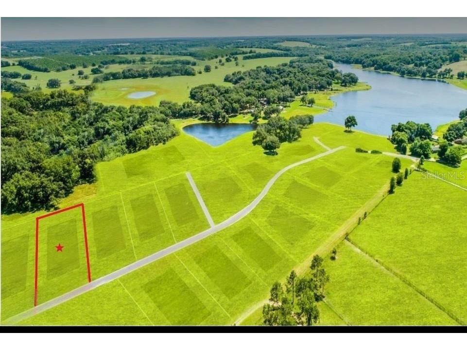 34710 Clayton Road Dade City FL 33523 O6406146 image1