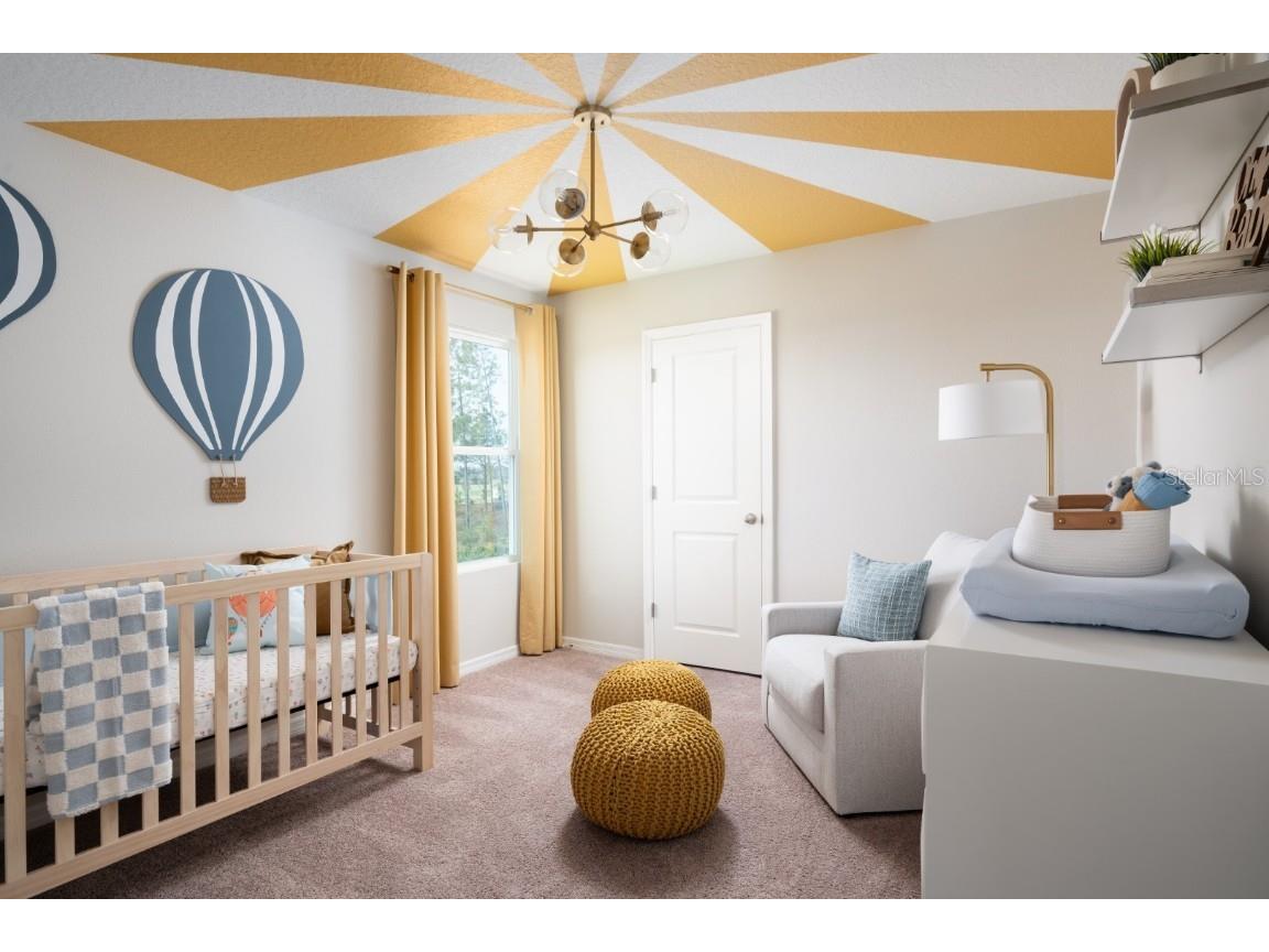 34718 Blossom Fall Path Zephyrhills FL 33541 TB8447116 image7