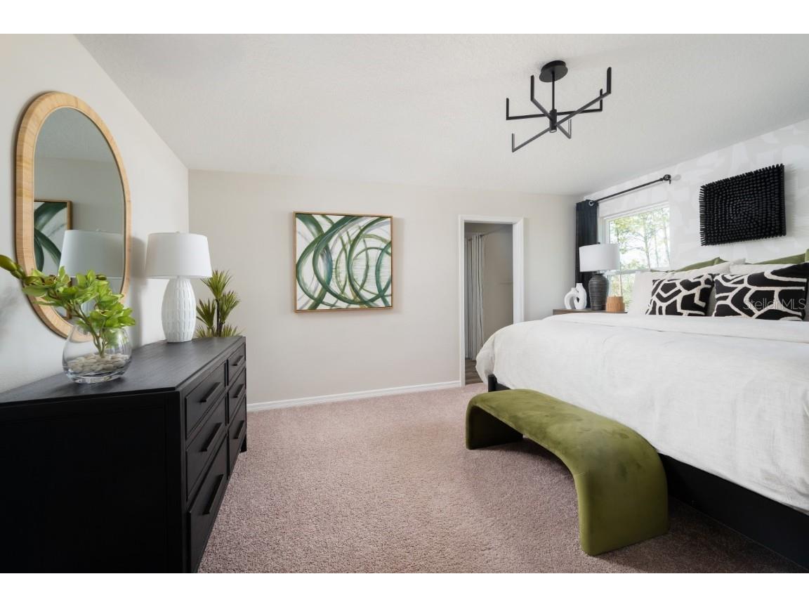 34718 Blossom Fall Path Zephyrhills FL 33541 TB8447116 image9