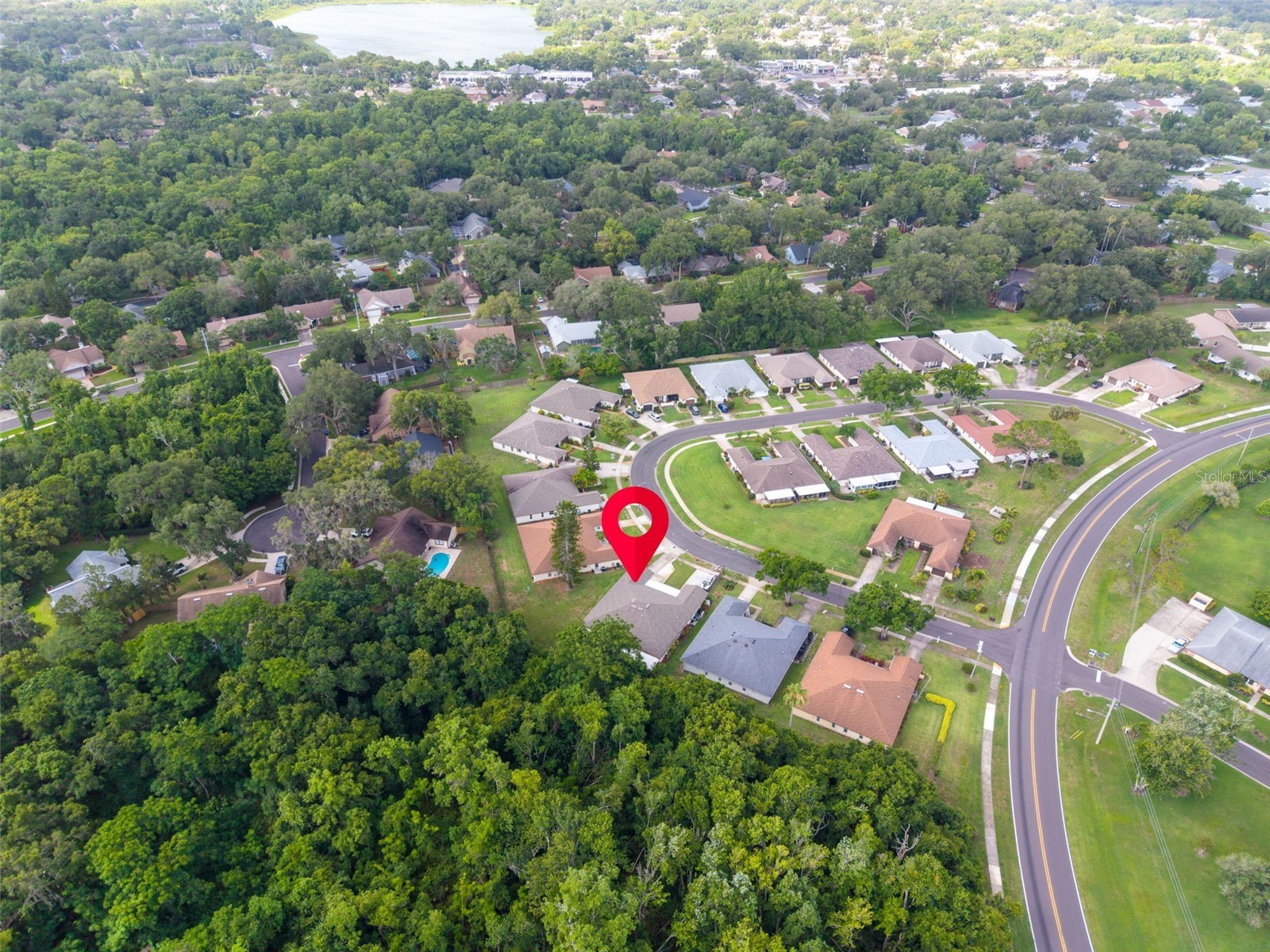 3472 Maclaren Drive Palm Harbor FL 34684 - LAKE TARPON TB8513775 image32