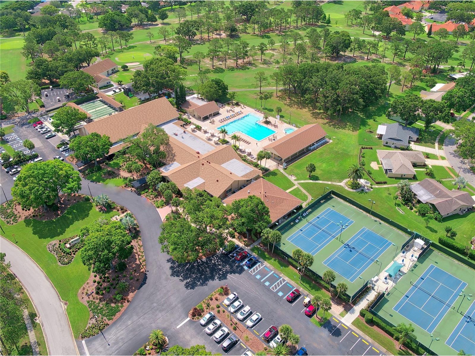 3472 Maclaren Drive Palm Harbor FL 34684 - LAKE TARPON TB8513775 image34