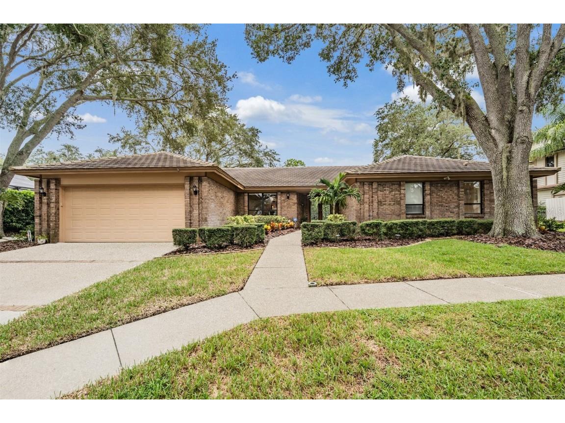 3472 Shoreline Circle Palm Harbor FL 34684 - LAKE TARPON TB8420143 image48