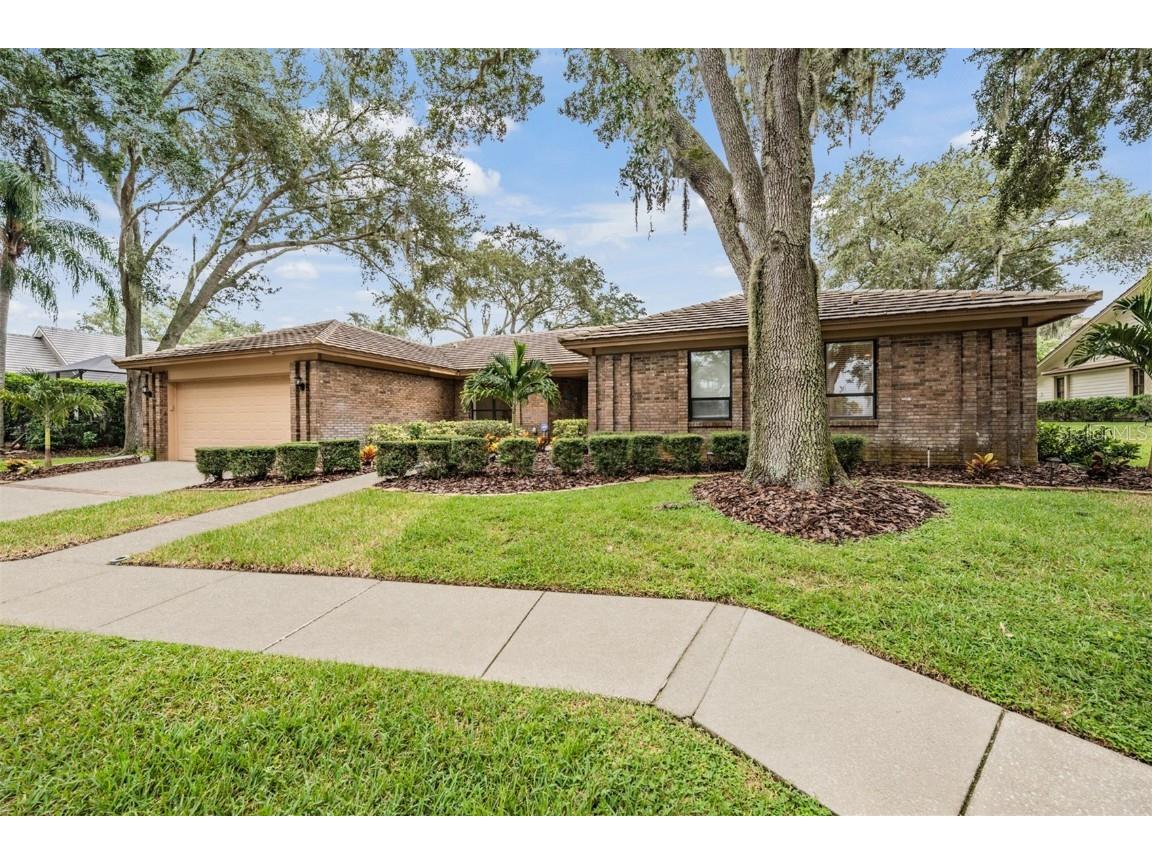 3472 Shoreline Circle Palm Harbor FL 34684 - LAKE TARPON TB8420143 image49