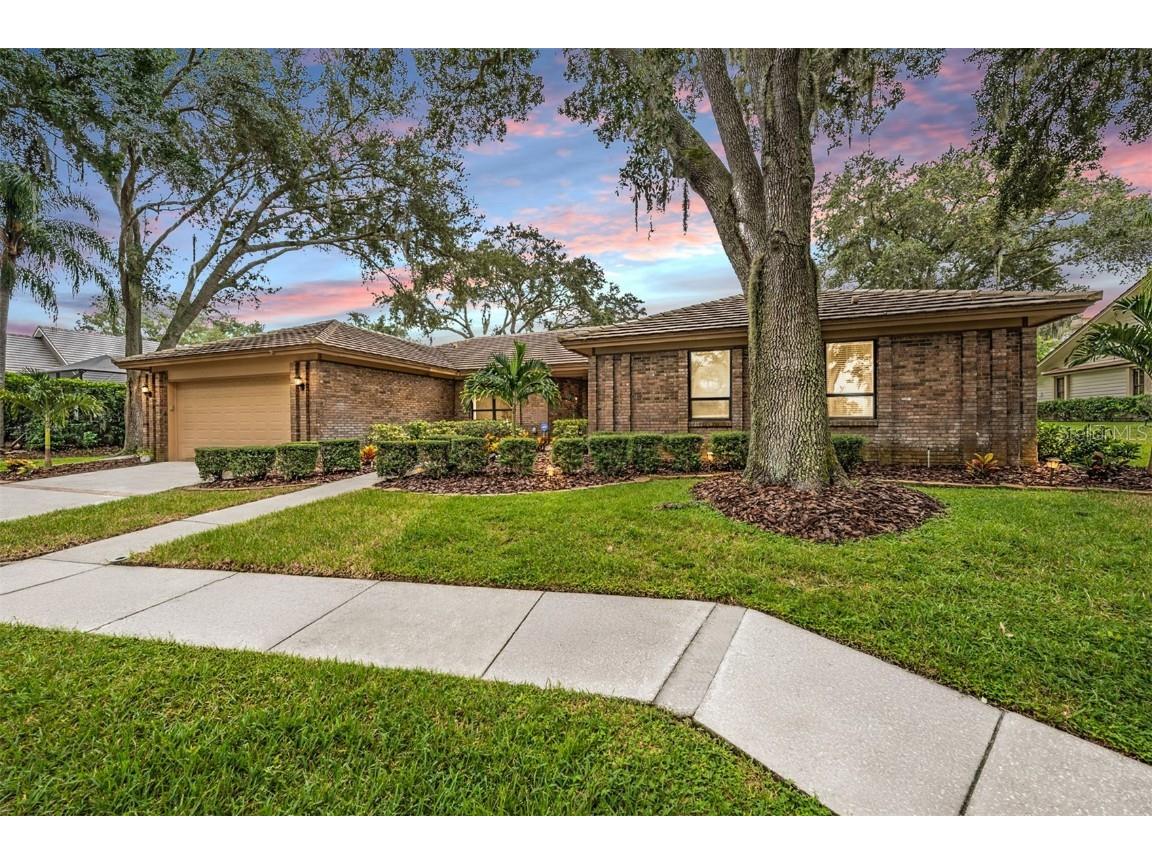 3472 Shoreline Circle Palm Harbor FL 34684 - LAKE TARPON TB8420143 image53