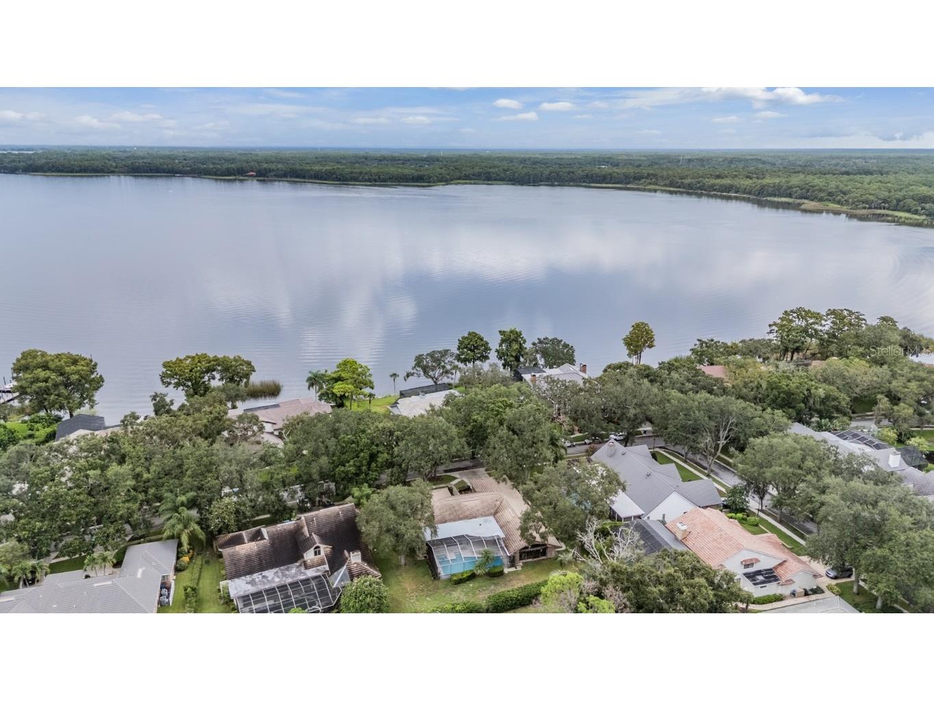 3472 Shoreline Circle Palm Harbor FL 34684 - LAKE TARPON TB8420143 image54