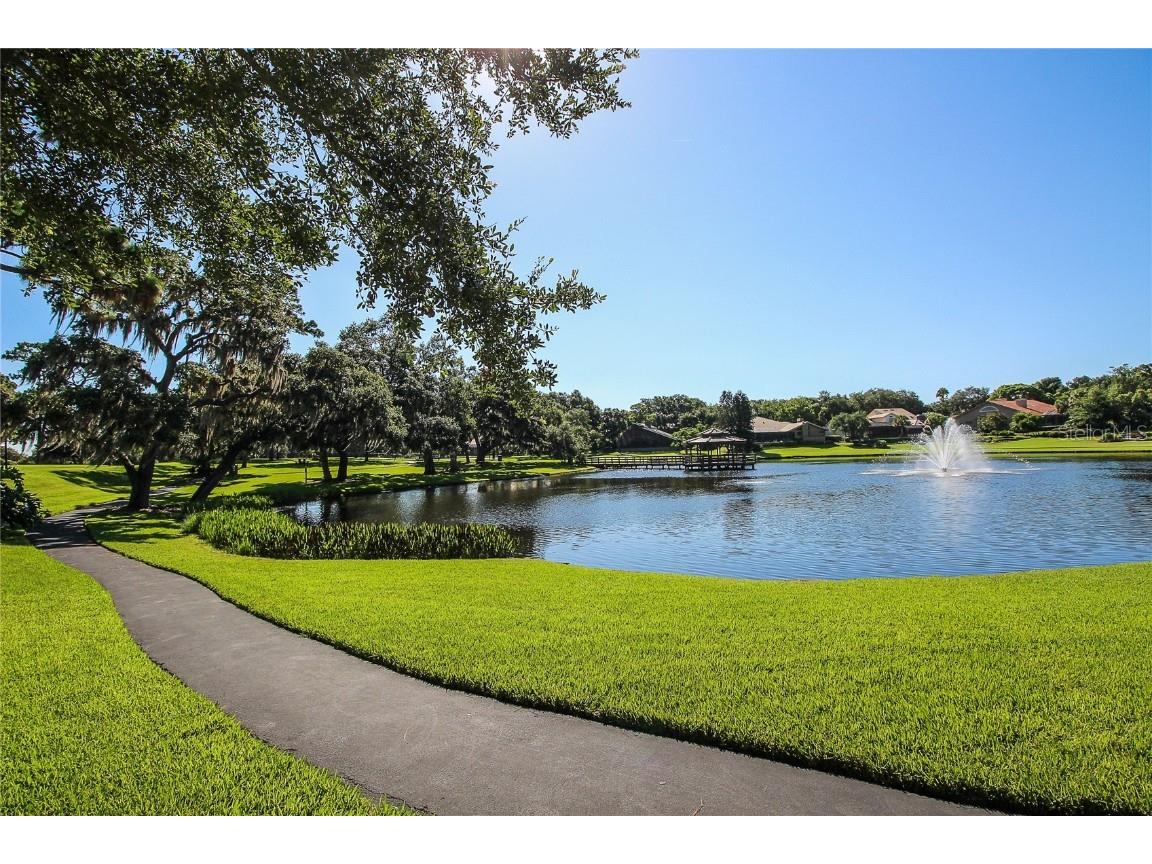 3472 Shoreline Circle Palm Harbor FL 34684 - LAKE TARPON TB8420143 image59