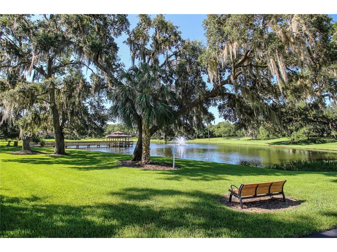 3472 Shoreline Circle Palm Harbor FL 34684 - LAKE TARPON TB8420143 image61