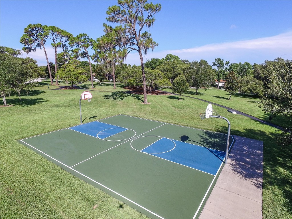 3472 Shoreline Circle Palm Harbor FL 34684 - LAKE TARPON TB8420143 image64