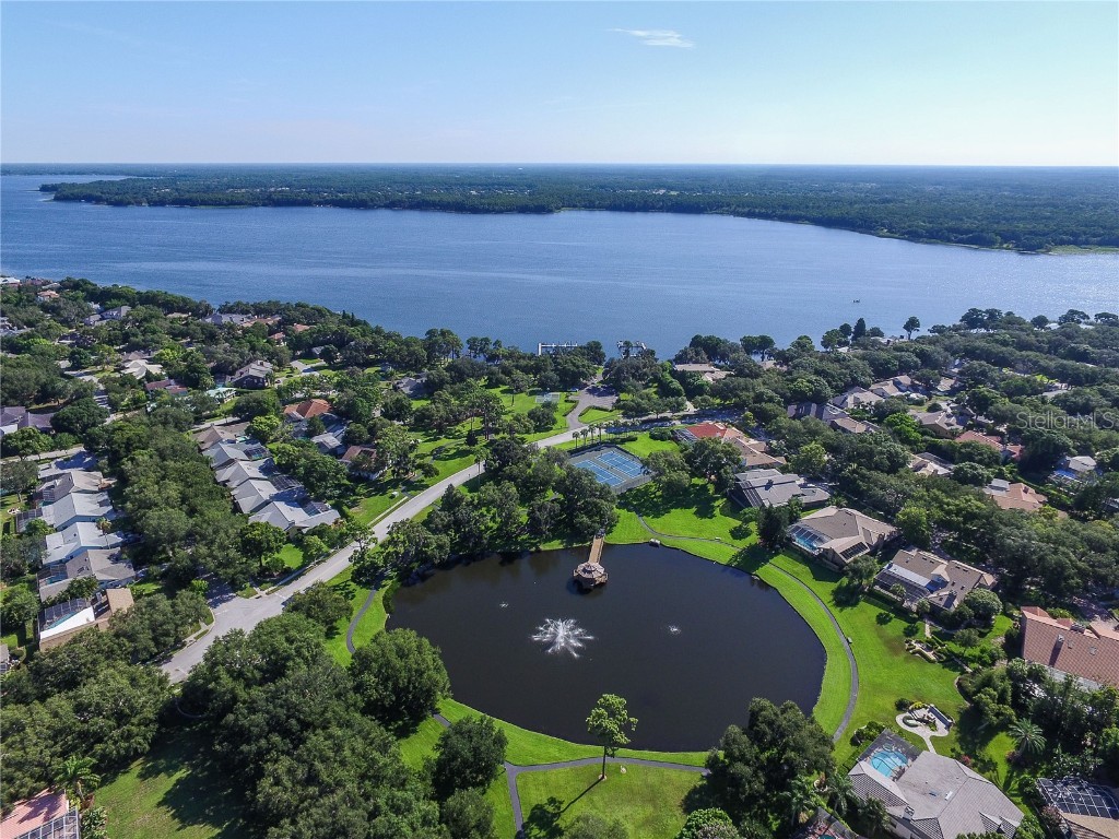 3472 Shoreline Circle Palm Harbor FL 34684 - LAKE TARPON TB8420143 image65