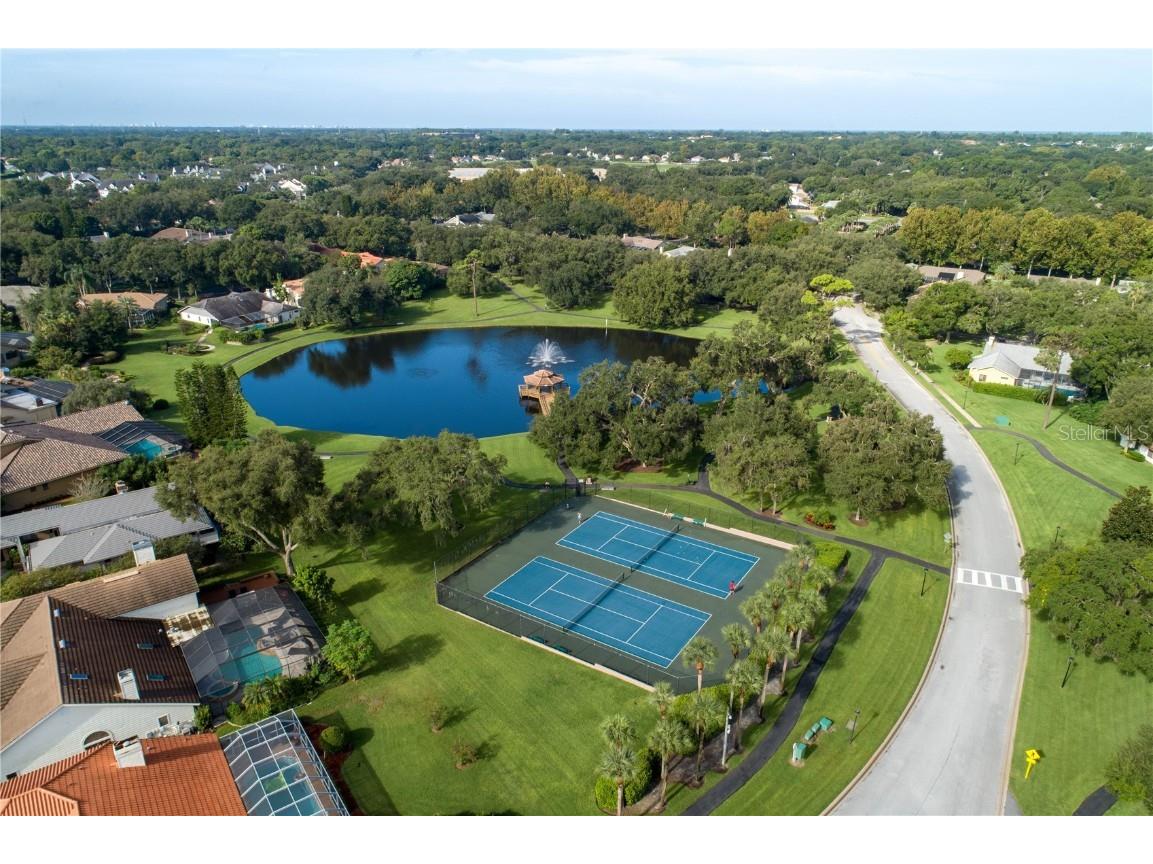 3472 Shoreline Circle Palm Harbor FL 34684 - LAKE TARPON TB8420143 image66