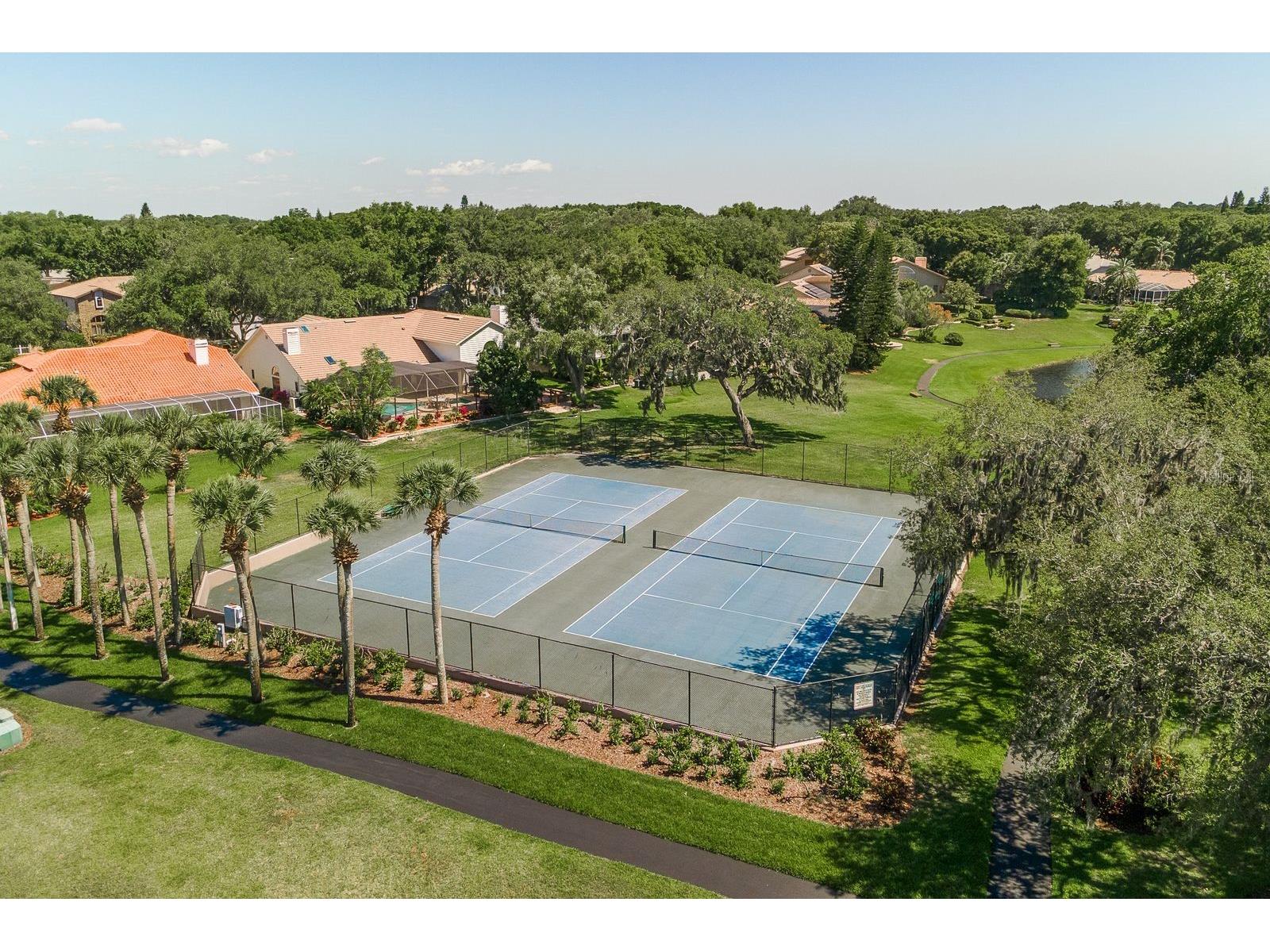 3472 Shoreline Circle Palm Harbor FL 34684 TB8487597 image37