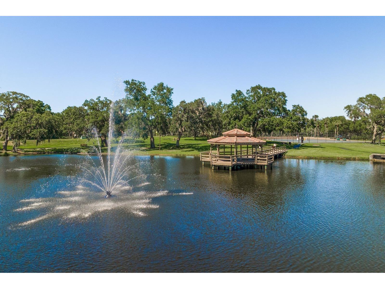 3472 Shoreline Circle Palm Harbor FL 34684 TB8487597 image40