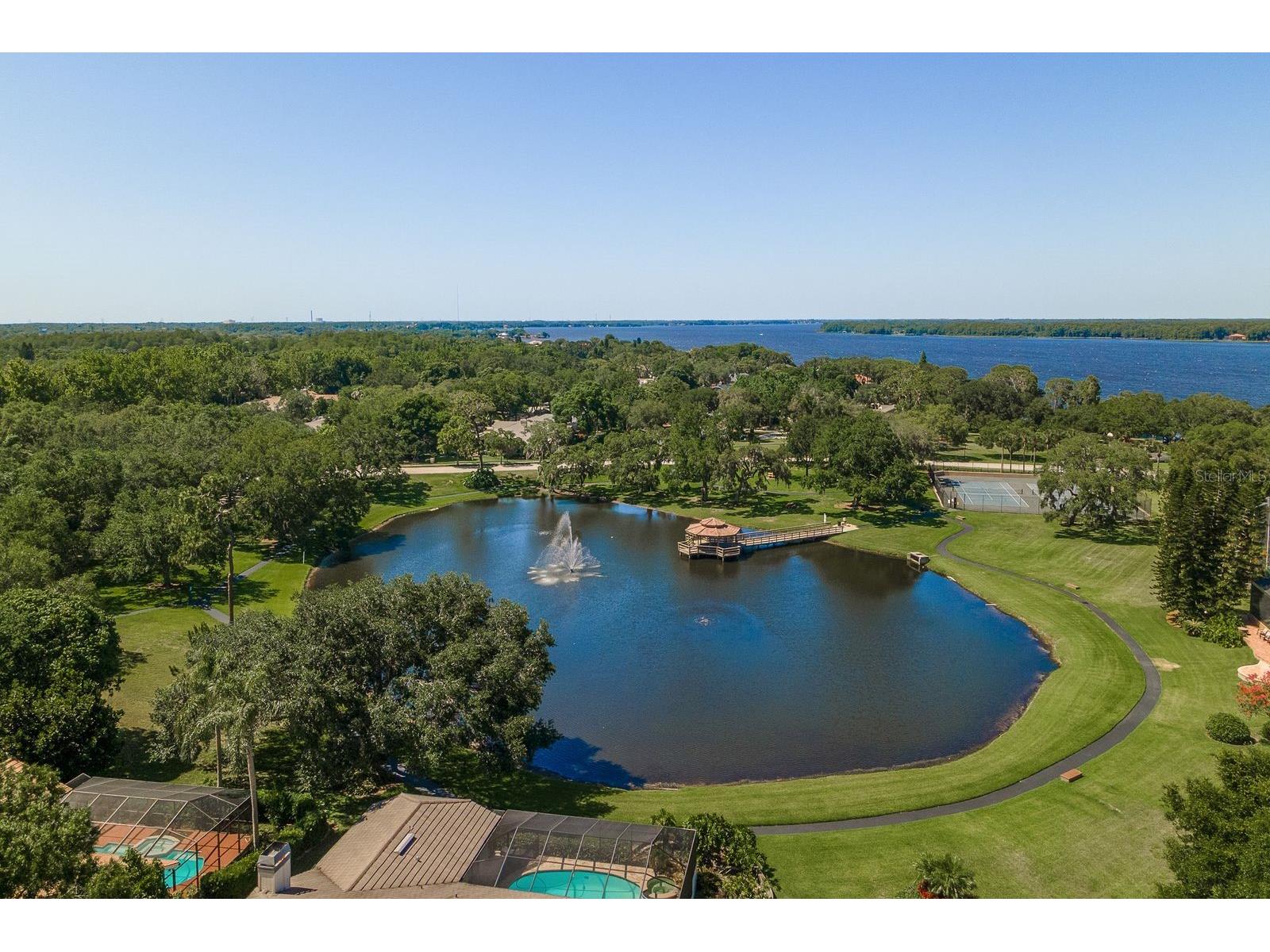 3472 Shoreline Circle Palm Harbor FL 34684 TB8487597 image41