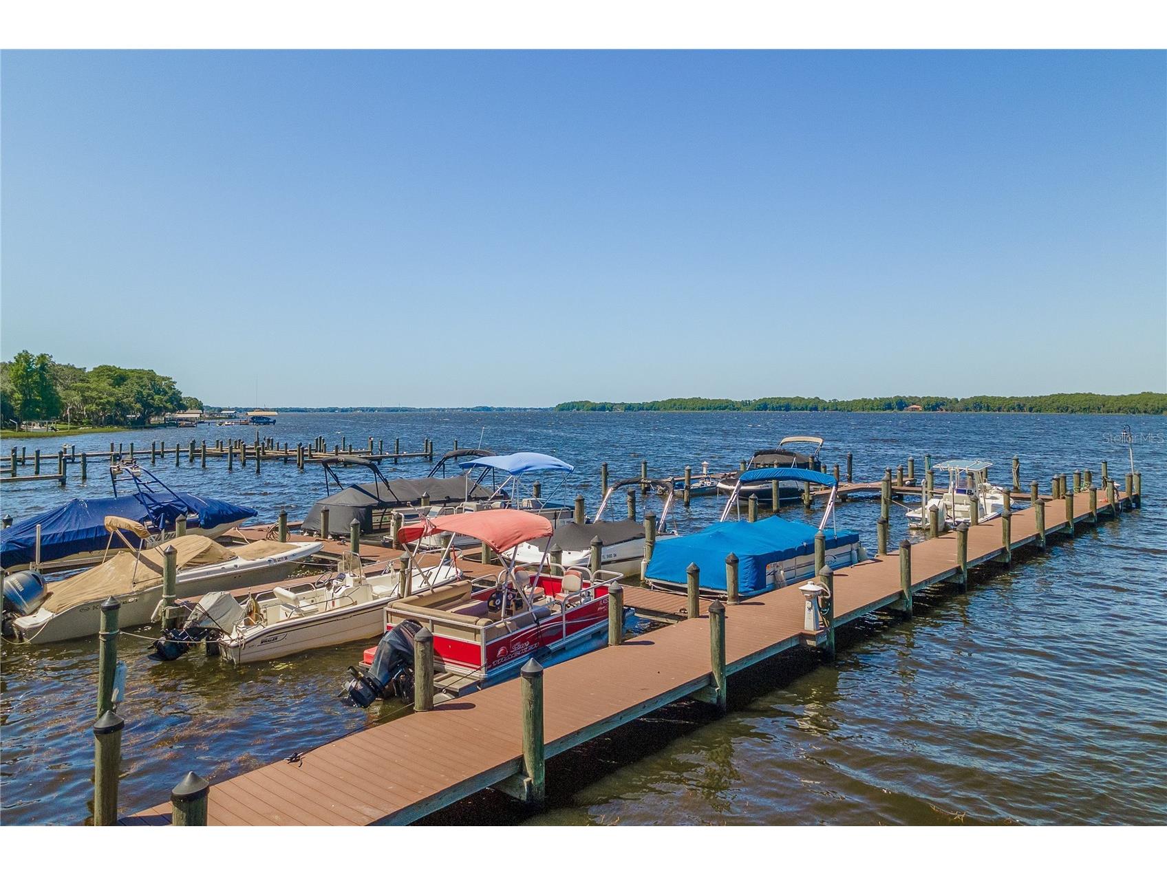 3472 Shoreline Circle Palm Harbor FL 34684 TB8487597 image42