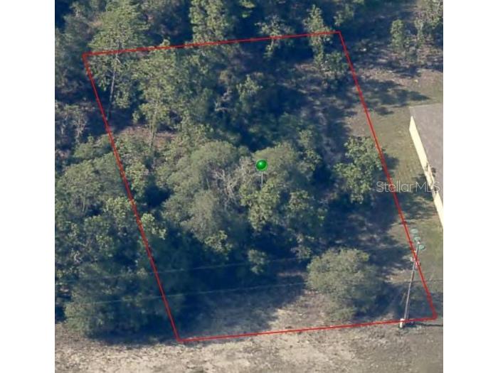 3473 W Hampshire Boulevard Citrus Springs FL 34433 OM684600 image1