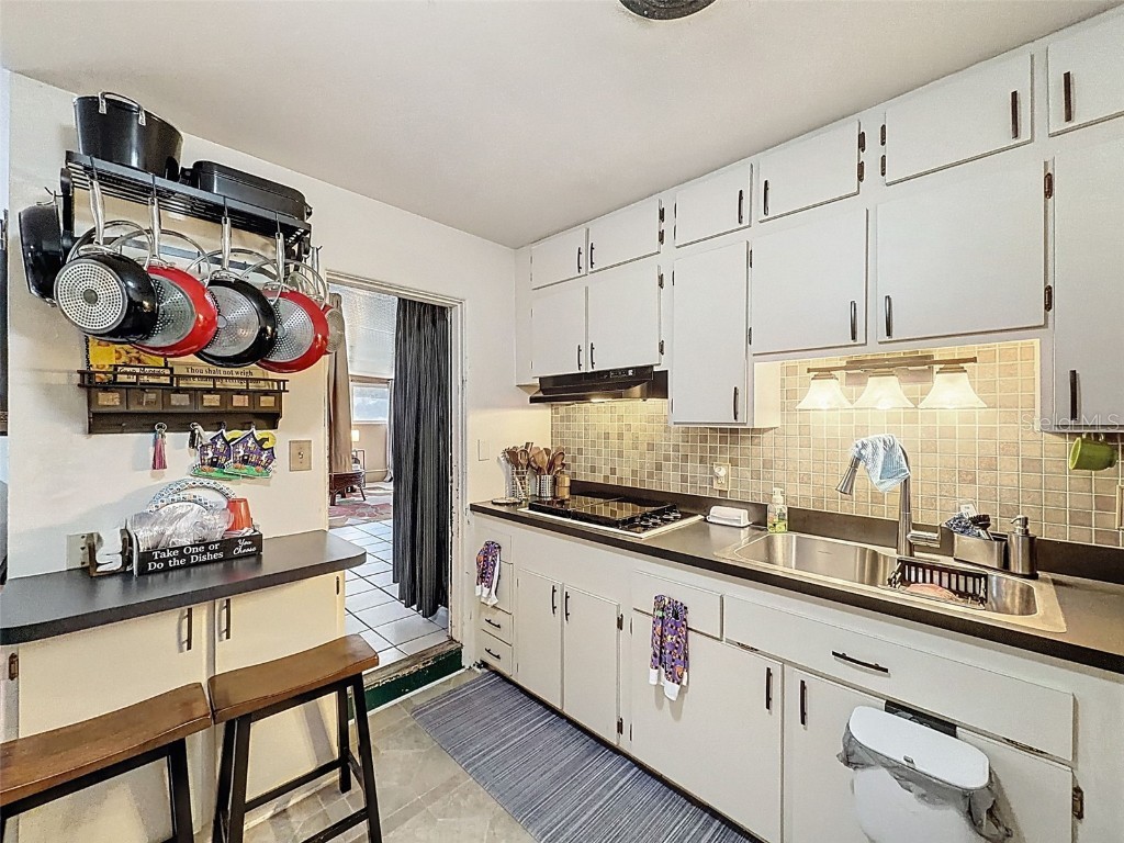 34739 Hibiscus Drive Dade City FL 33523 L4956822 image12