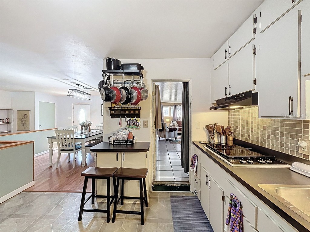 34739 Hibiscus Drive Dade City FL 33523 L4956822 image14