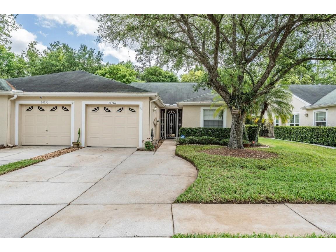 34746 Double Eagle Court Zephyrhills FL 33541 T3509601 image1