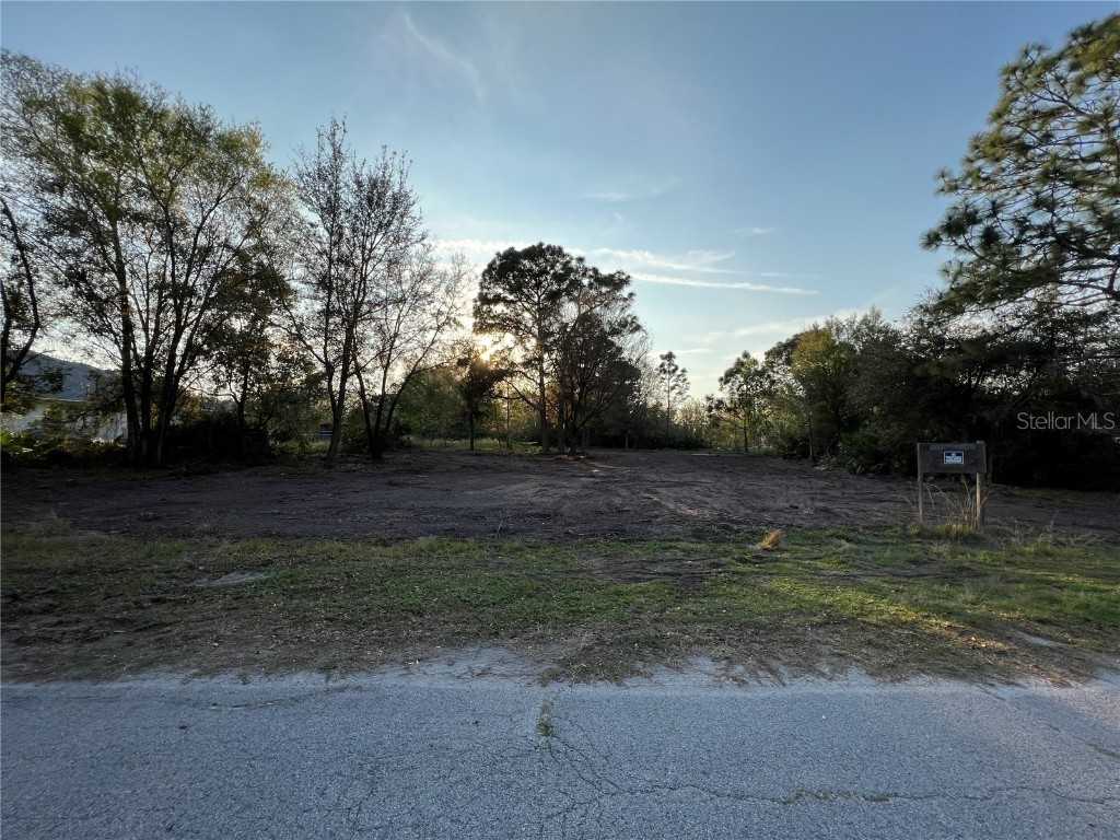 3475 Steeplechase Road Wesley Chapel FL 33543 T3431116 image1