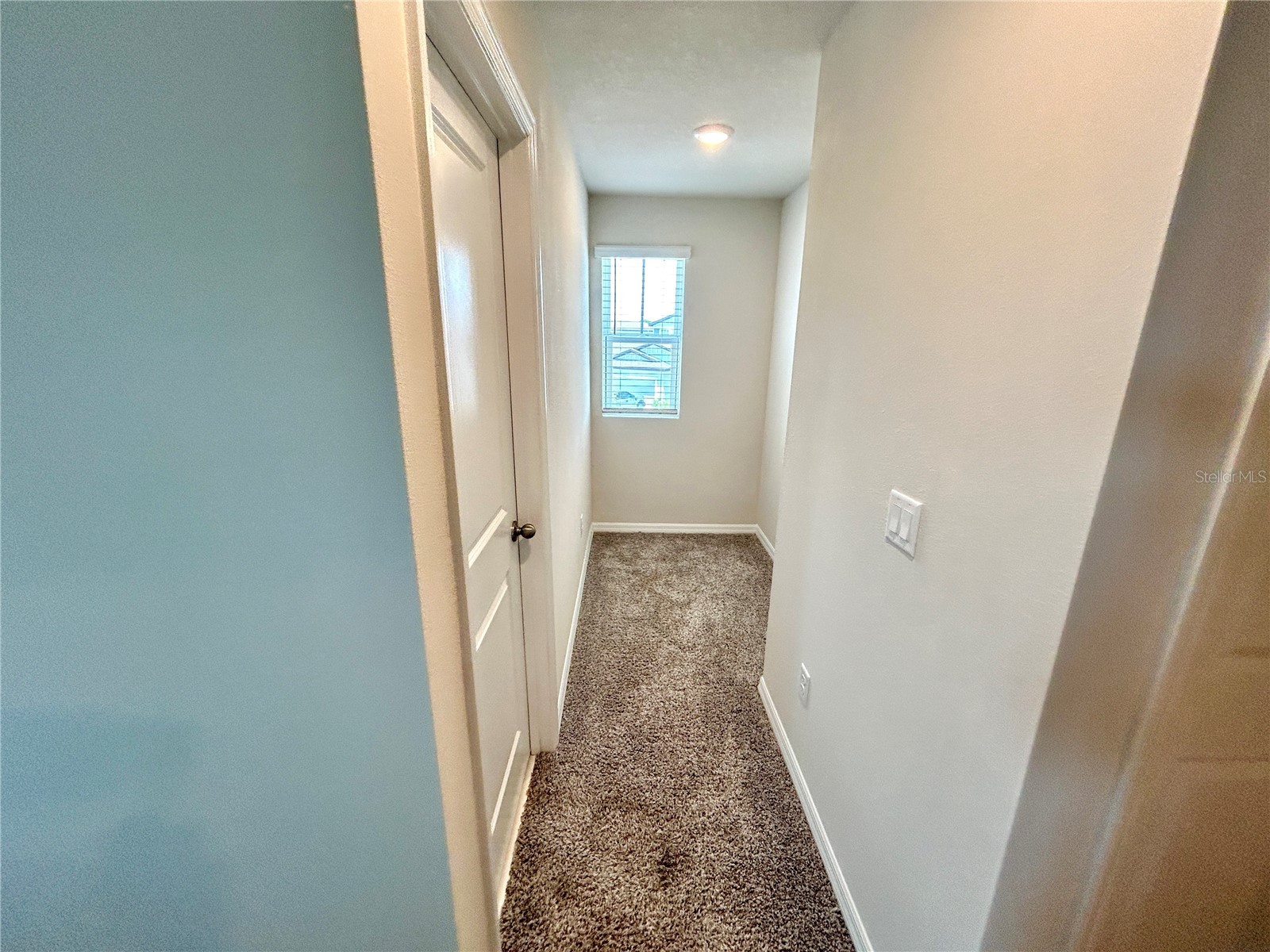 34751 Telluride Lane Zephyrhills FL 33541 TB8480494 image13