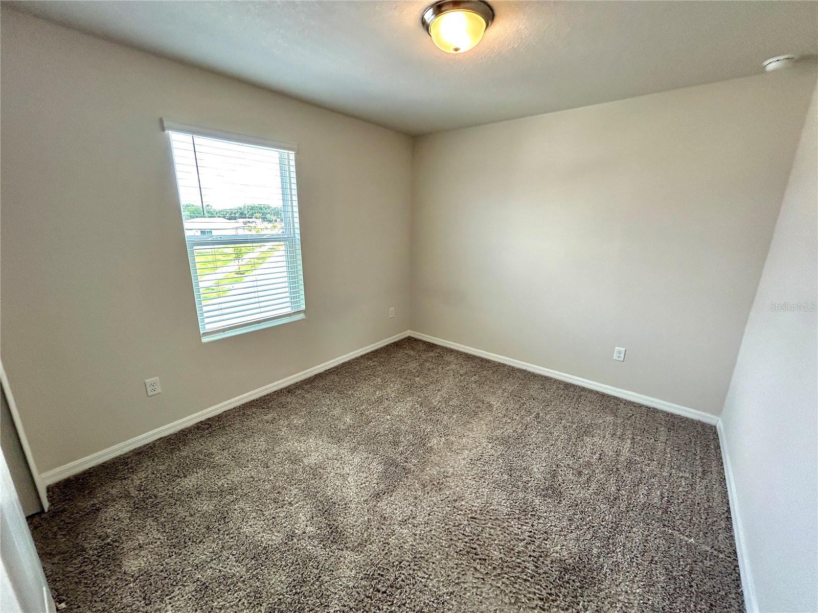 34751 Telluride Lane Zephyrhills FL 33541 TB8480494 image17