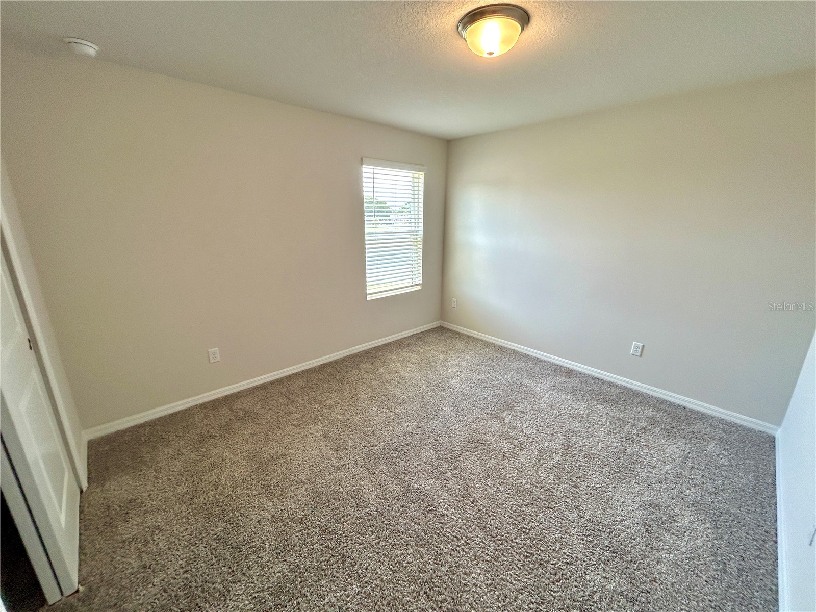 34751 Telluride Lane Zephyrhills FL 33541 TB8480494 image19