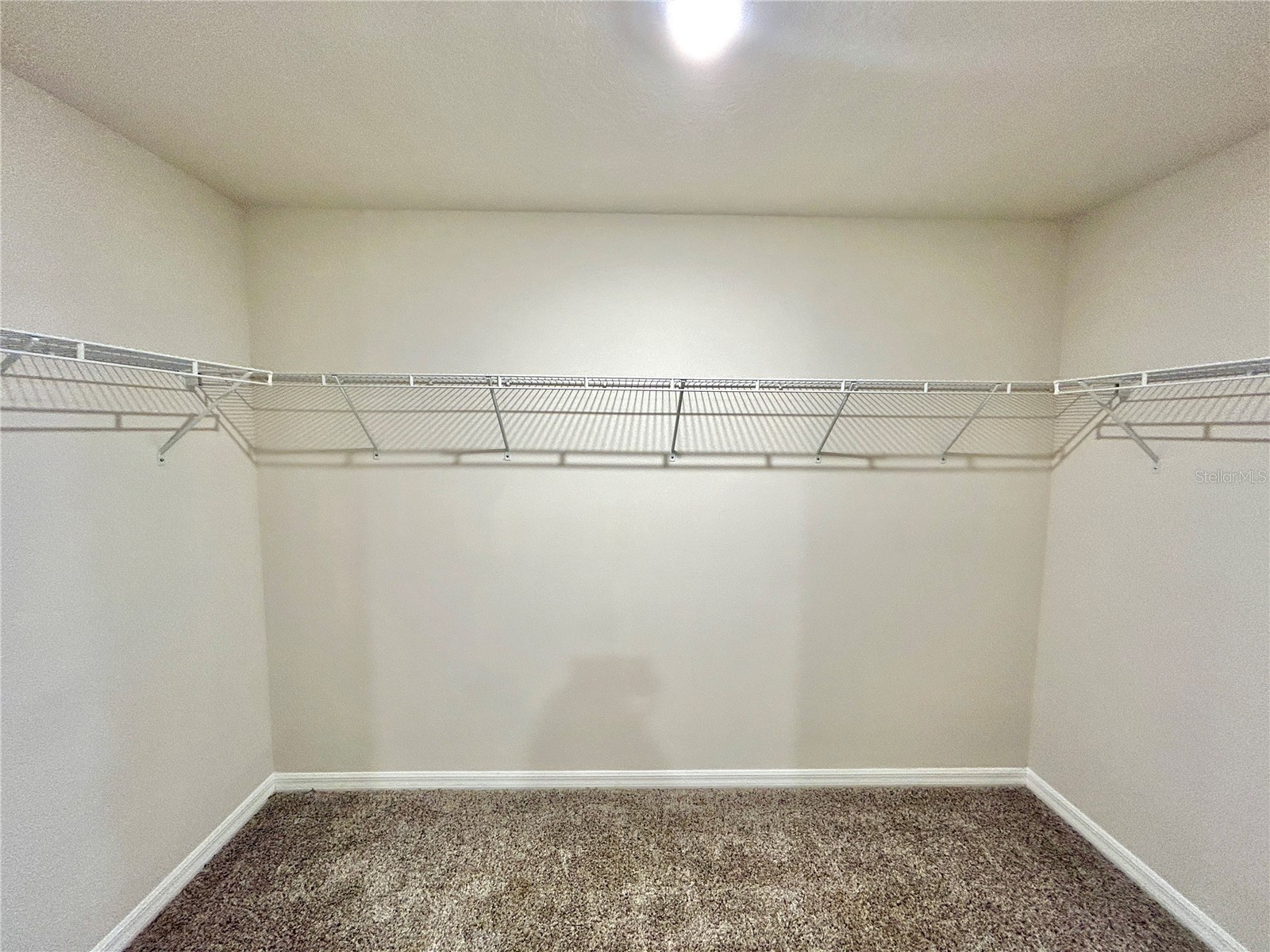 34751 Telluride Lane Zephyrhills FL 33541 TB8480494 image25