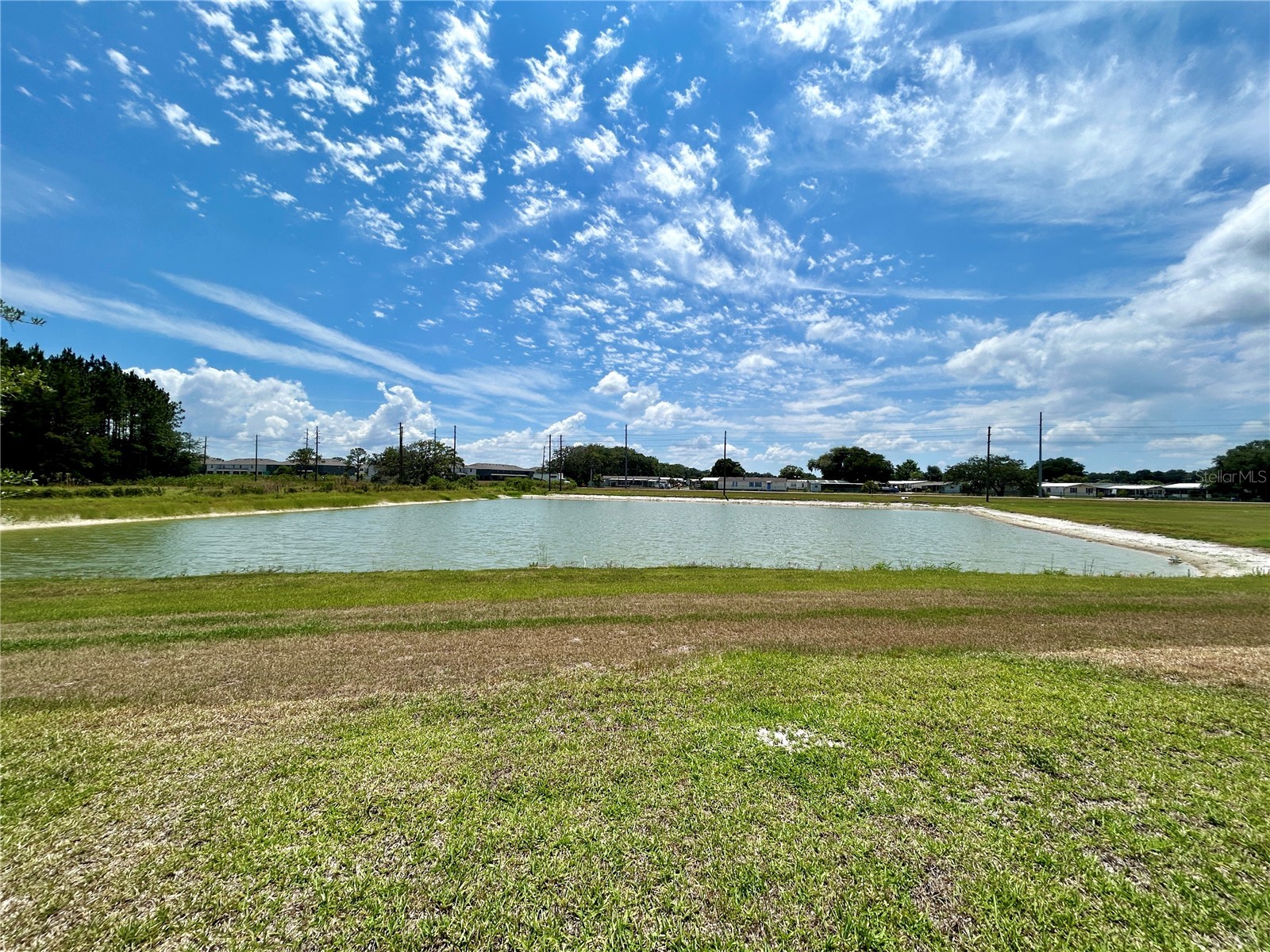 34751 Telluride Lane Zephyrhills FL 33541 TB8480494 image29