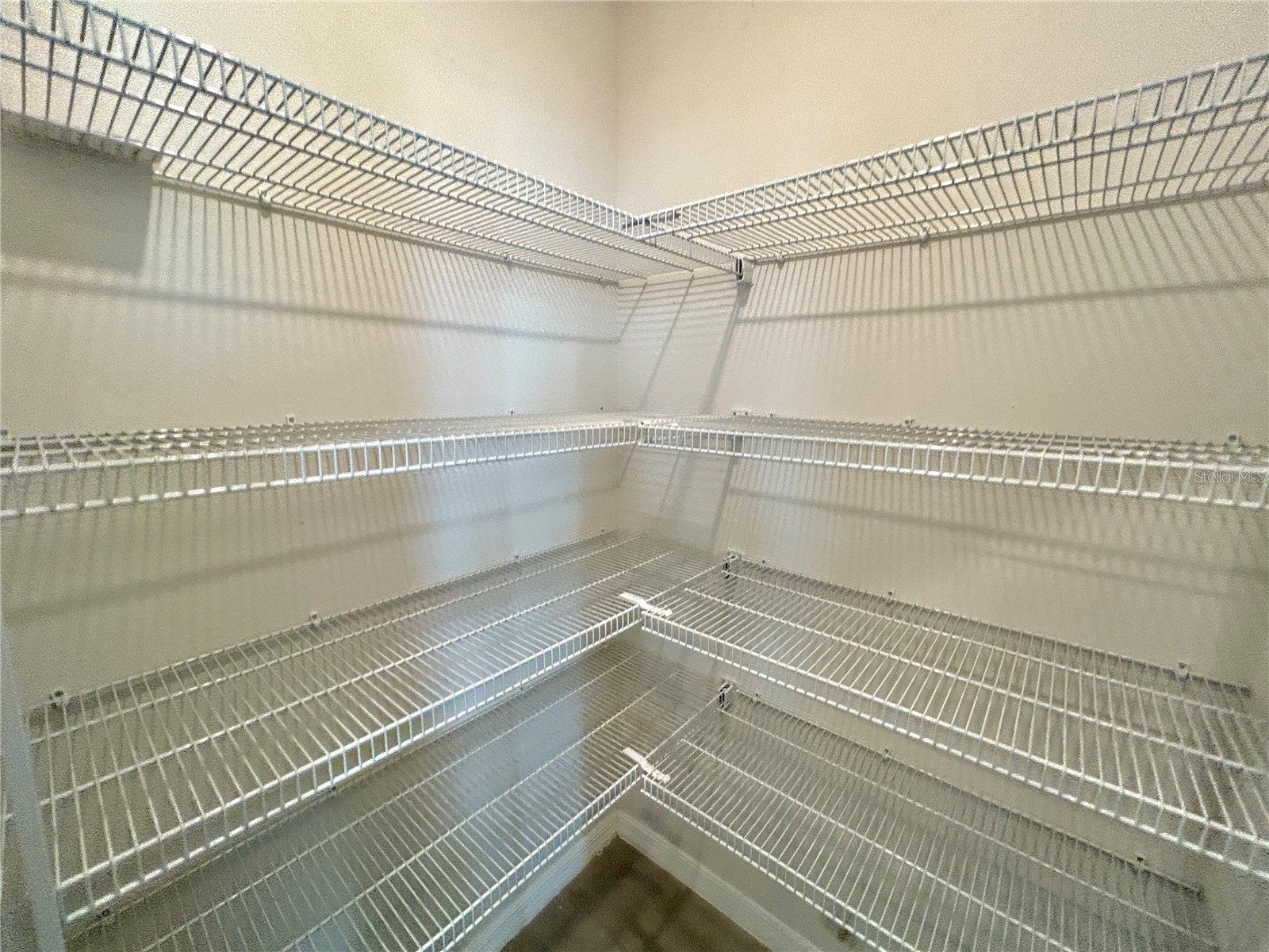 34751 Telluride Lane Zephyrhills FL 33541 TB8480494 image6