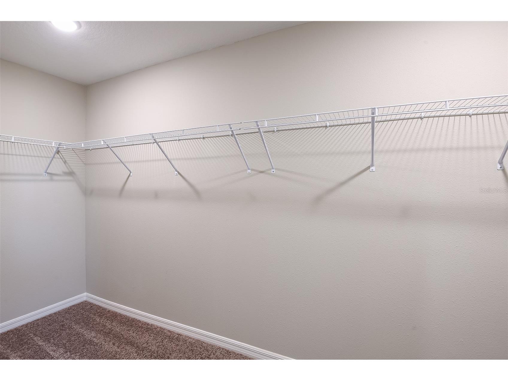 34759 Blossom Fall Path Zephyrhills FL 33541 TB8447205 image14