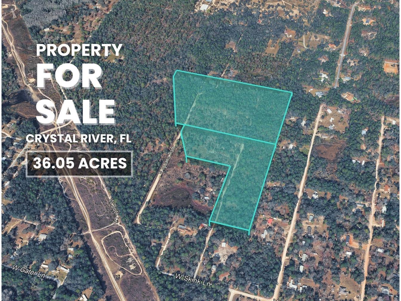 3476 N Iguana Path Crystal River FL 34428 TB8518747 image1