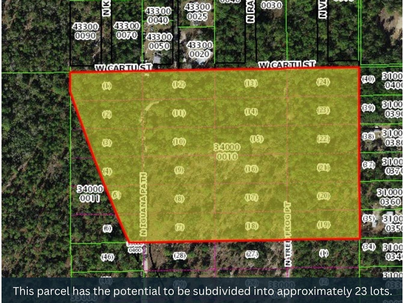 3476 N Iguana Path Crystal River FL 34428 TB8518747 image11