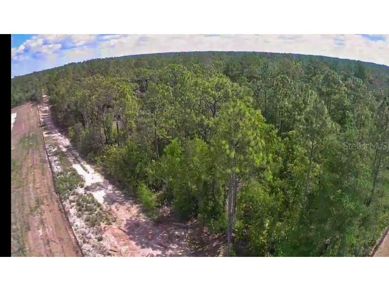 3476 N Iguana Path Crystal River FL 34428 TB8518747 image12