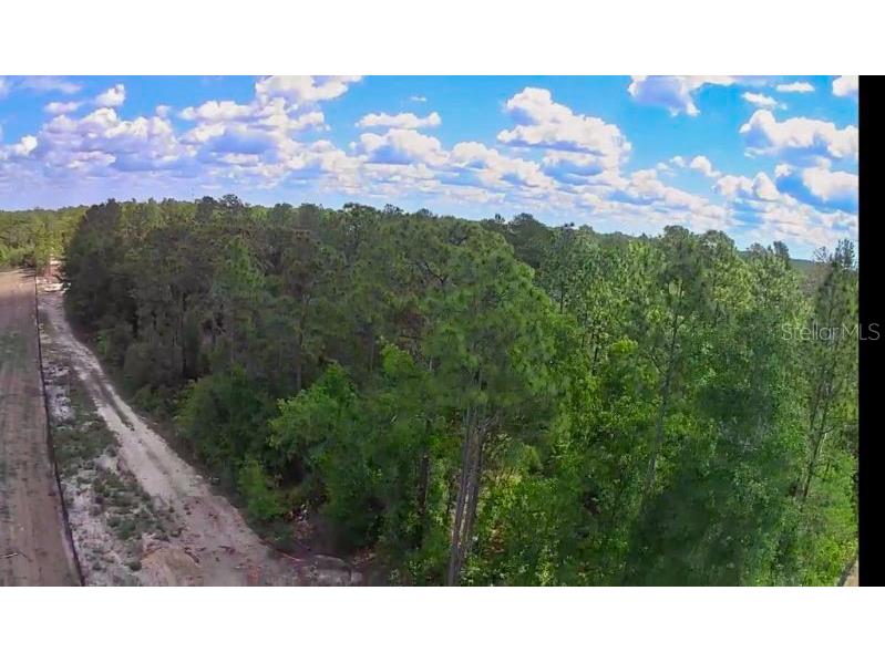 3476 N Iguana Path Crystal River FL 34428 TB8518747 image14