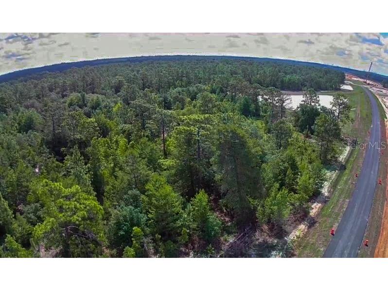 3476 N Iguana Path Crystal River FL 34428 TB8518747 image15