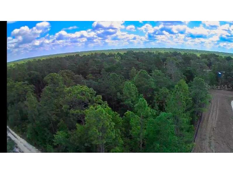 3476 N Iguana Path Crystal River FL 34428 TB8518747 image17