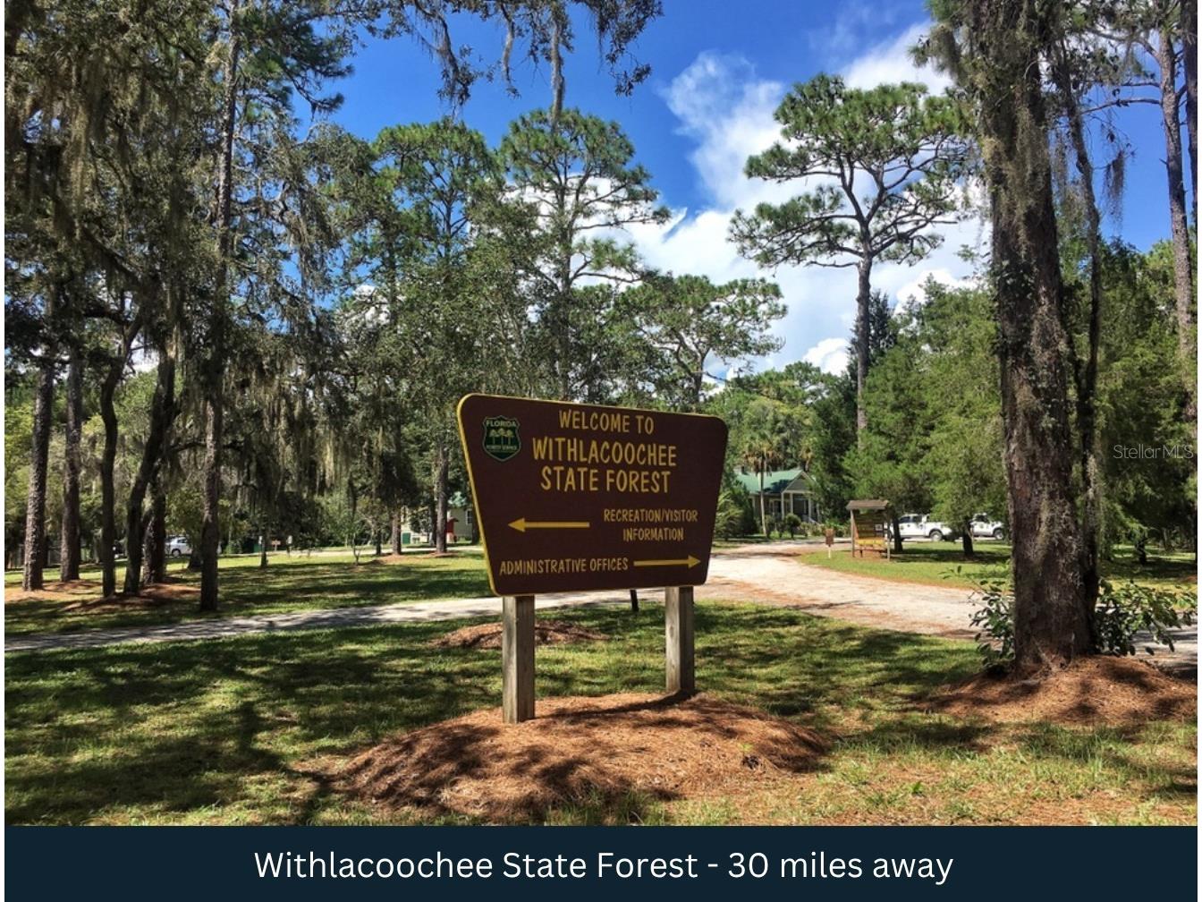 3476 N Iguana Path Crystal River FL 34428 TB8518747 image20