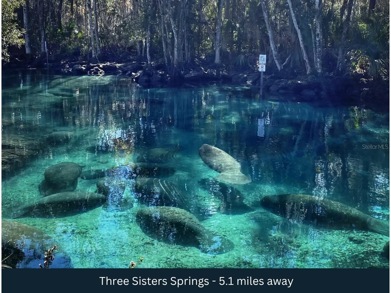 3476 N Iguana Path Crystal River FL 34428 TB8518747 image22