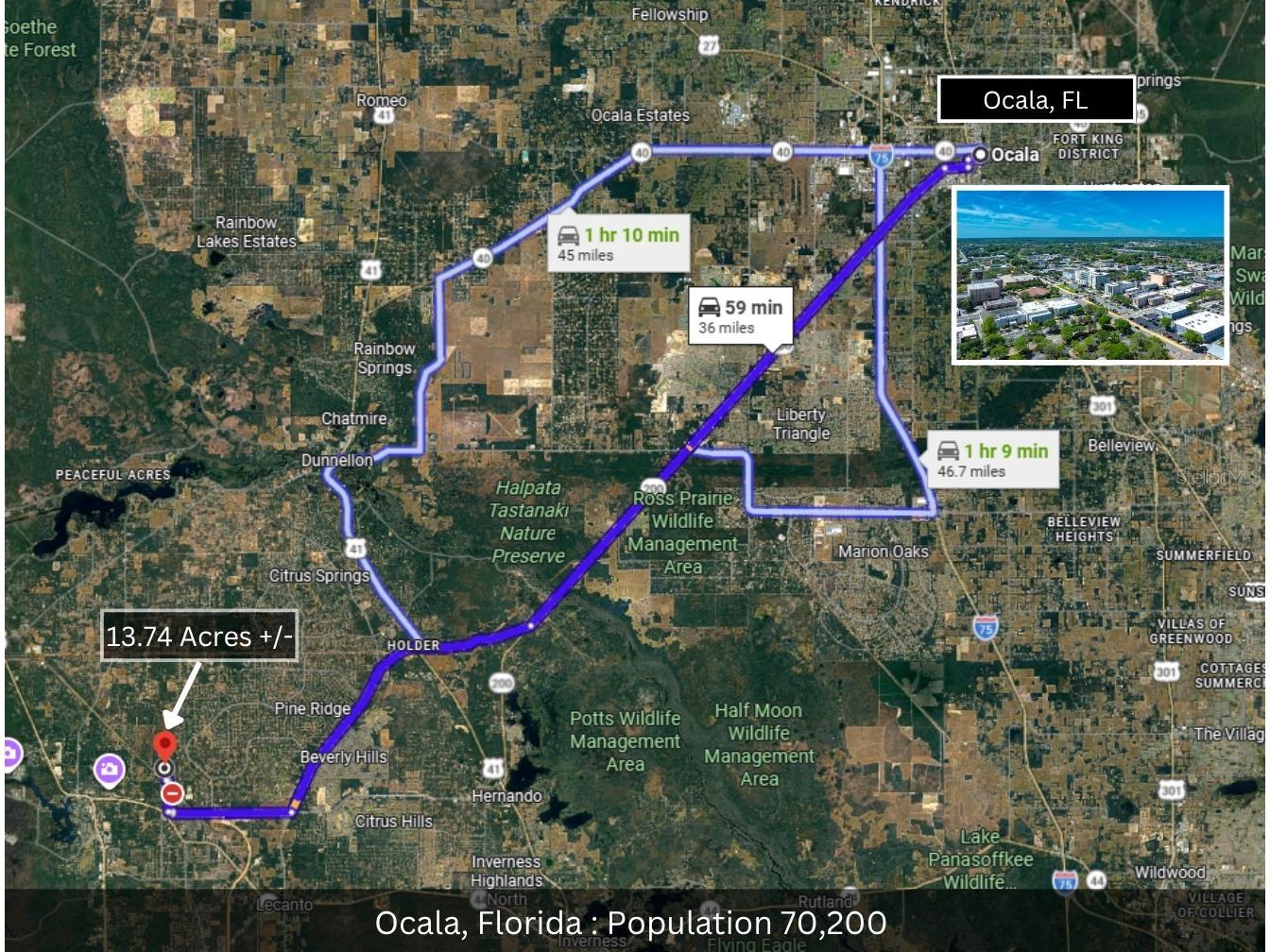 3476 N Iguana Path Crystal River FL 34428 TB8518747 image25