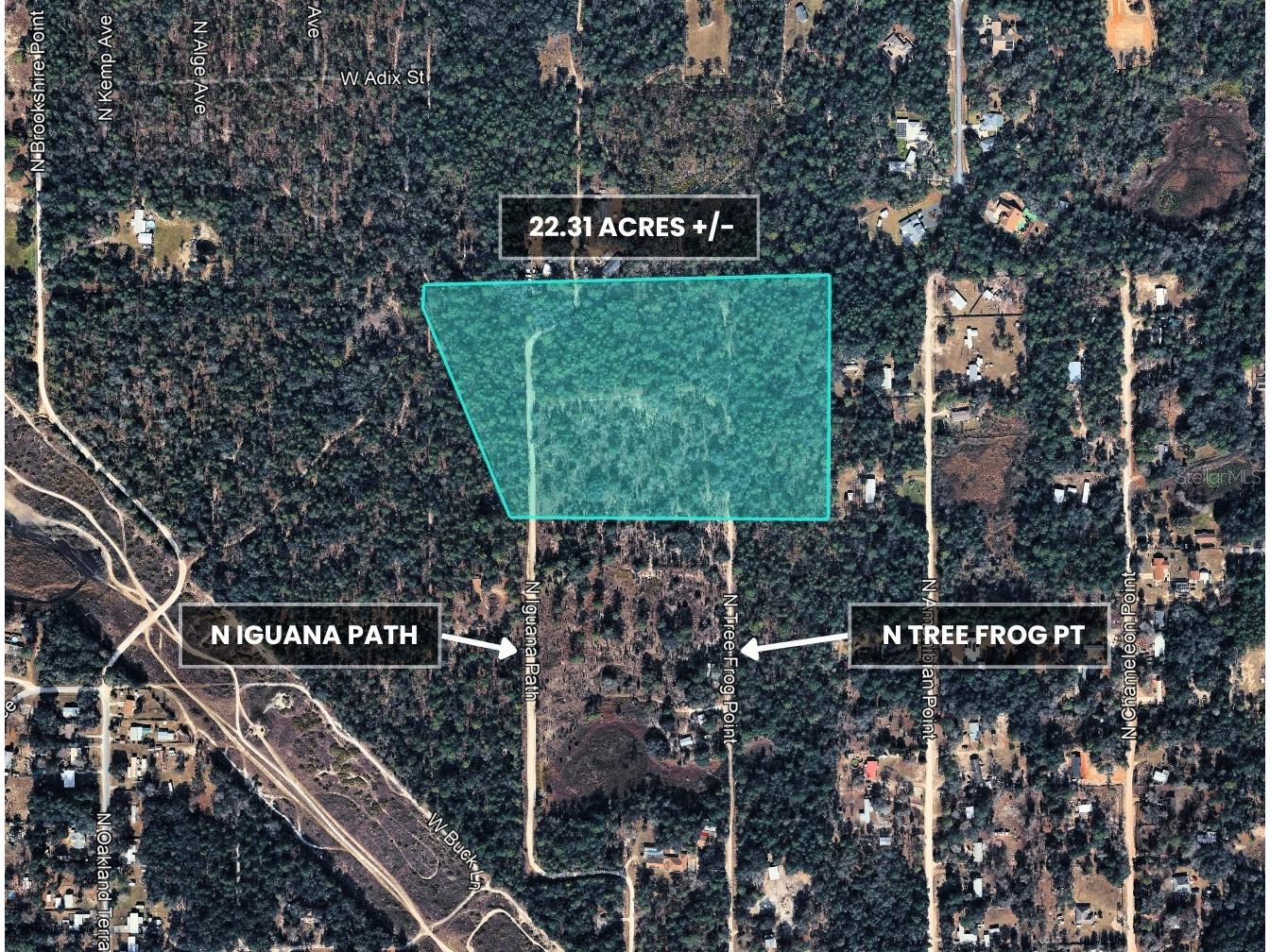 3476 N Iguana Path Crystal River FL 34428 TB8518747 image28