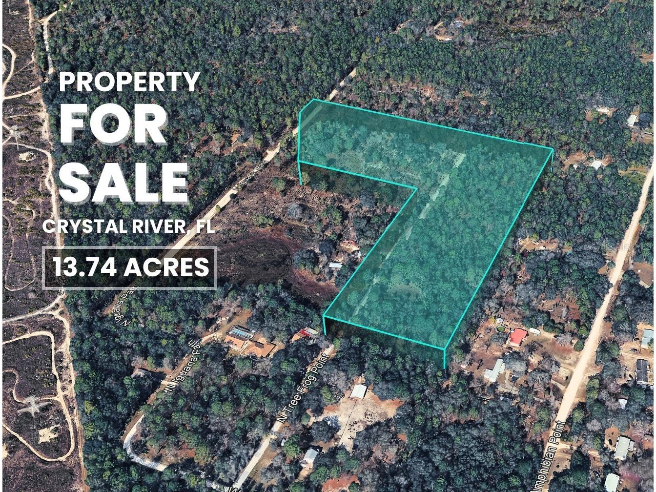 3476 N Iguana Path Crystal River FL 34428 TB8518747 image29