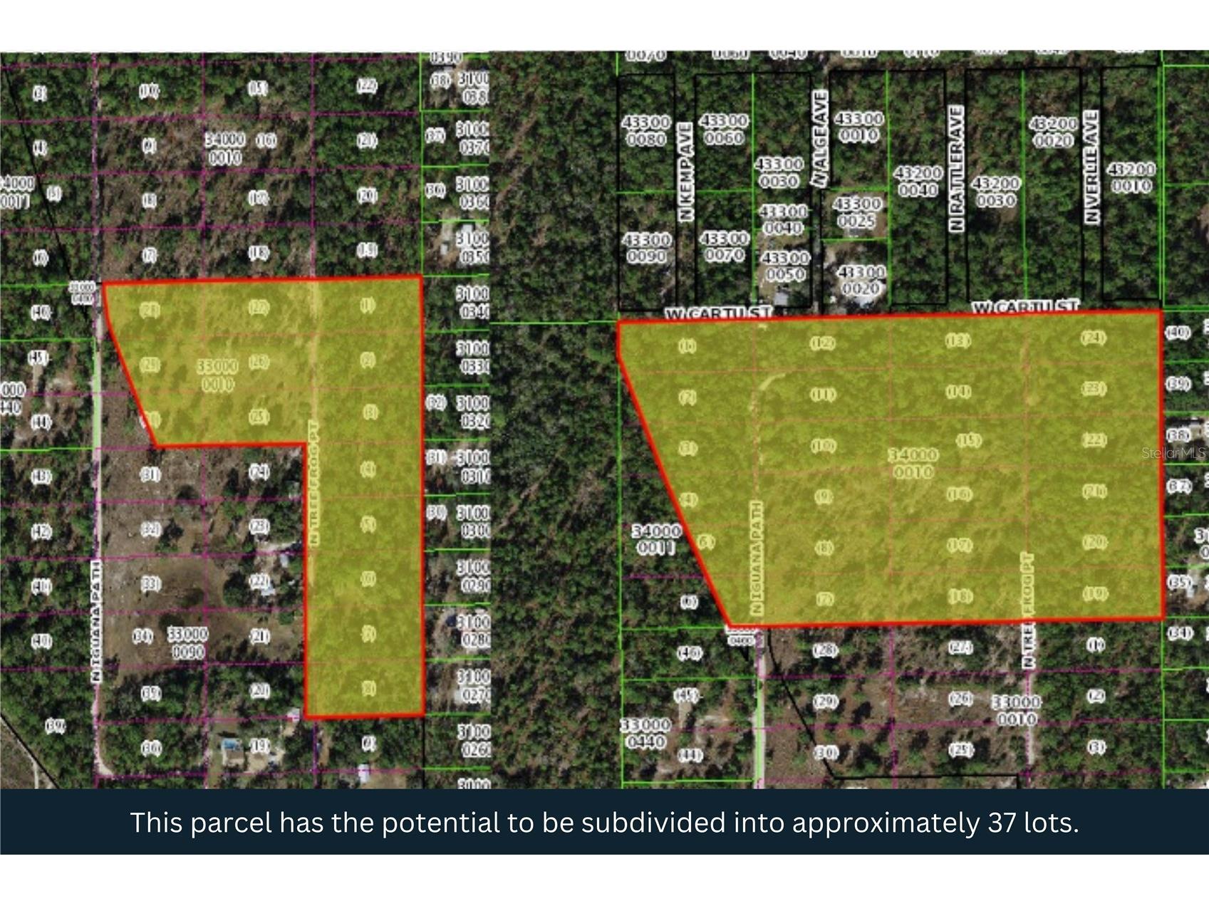 3476 N Iguana Path Crystal River FL 34428 TB8518747 image3