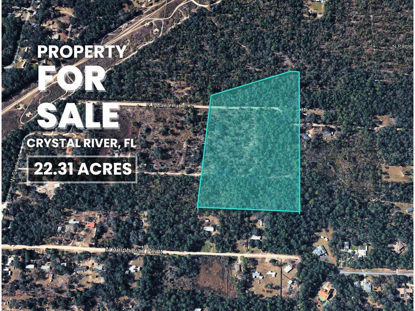 3476 N Iguana Path Crystal River FL 34428 TB8518747 image30