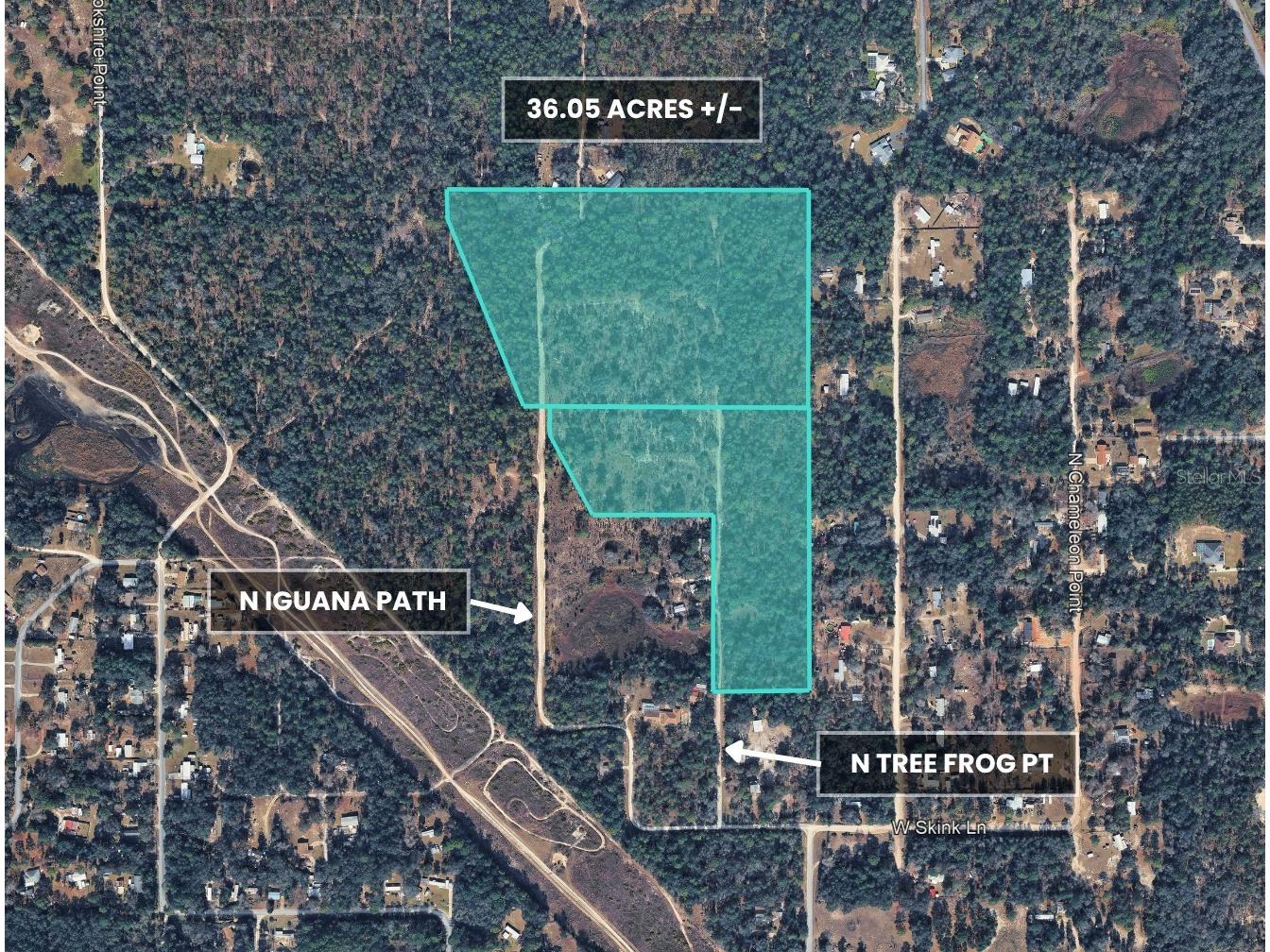3476 N Iguana Path Crystal River FL 34428 TB8518747 image31
