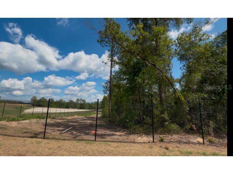 3476 N Iguana Path Crystal River FL 34428 TB8518747 image4